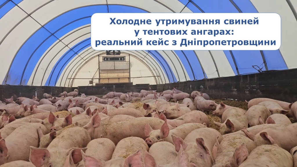 Федорик- часть 1 -ютуб.jpg Федорик- часть 1 -ютуб.jpg