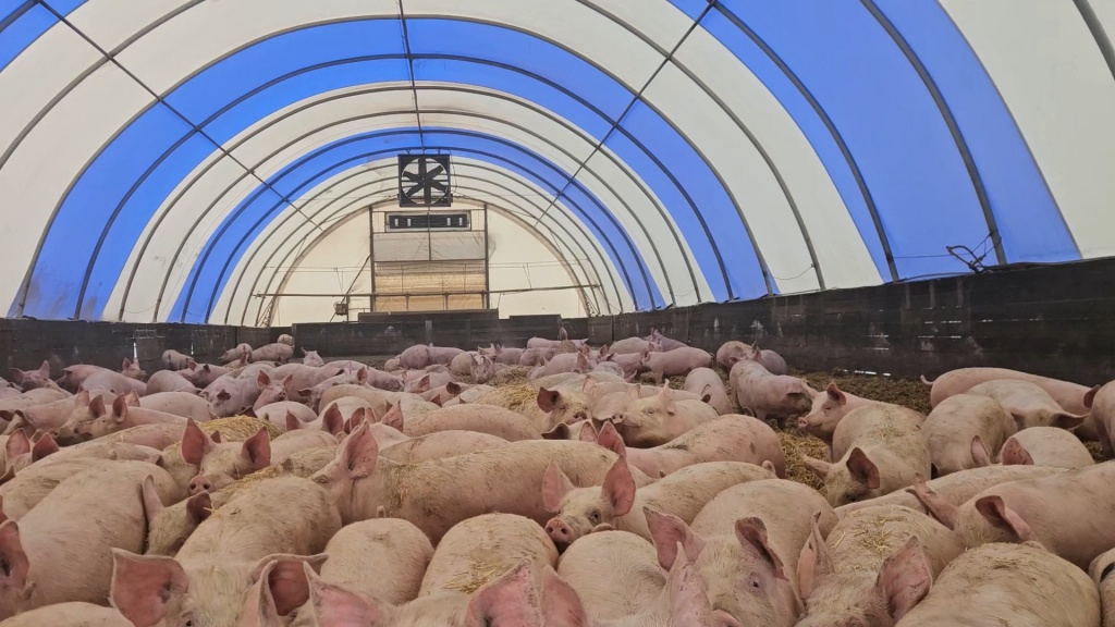 Федорик- часть 1.mp4_snapshot_05.20.960.jpg Федорик- часть 1.mp4_snapshot_05.20.960.jpg