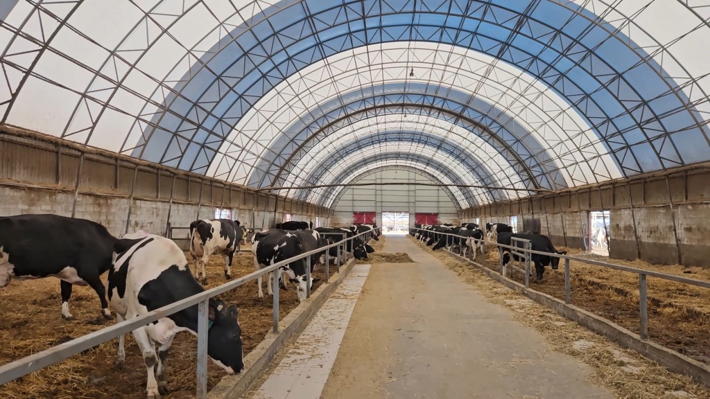 ангар Хмел.mp4_snapshot_02.09.080.jpg