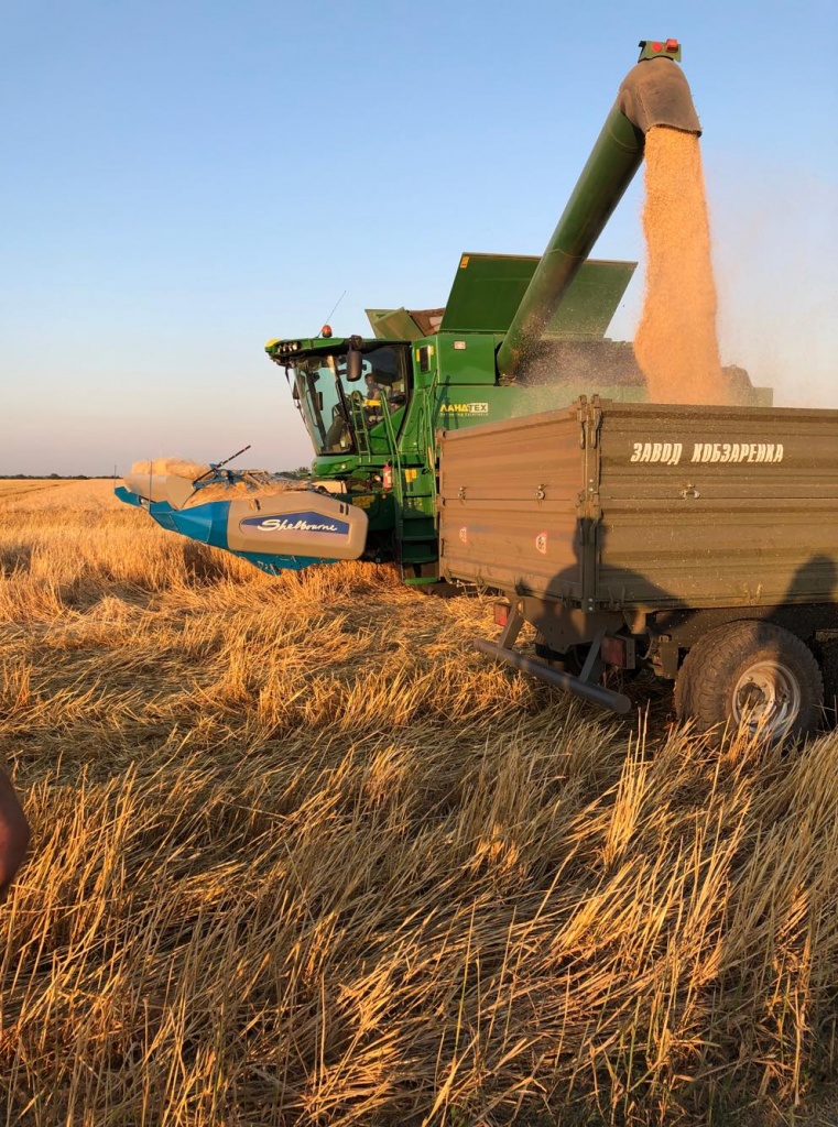 Жатка Shelbourne на уборке у Вадима Дробитько