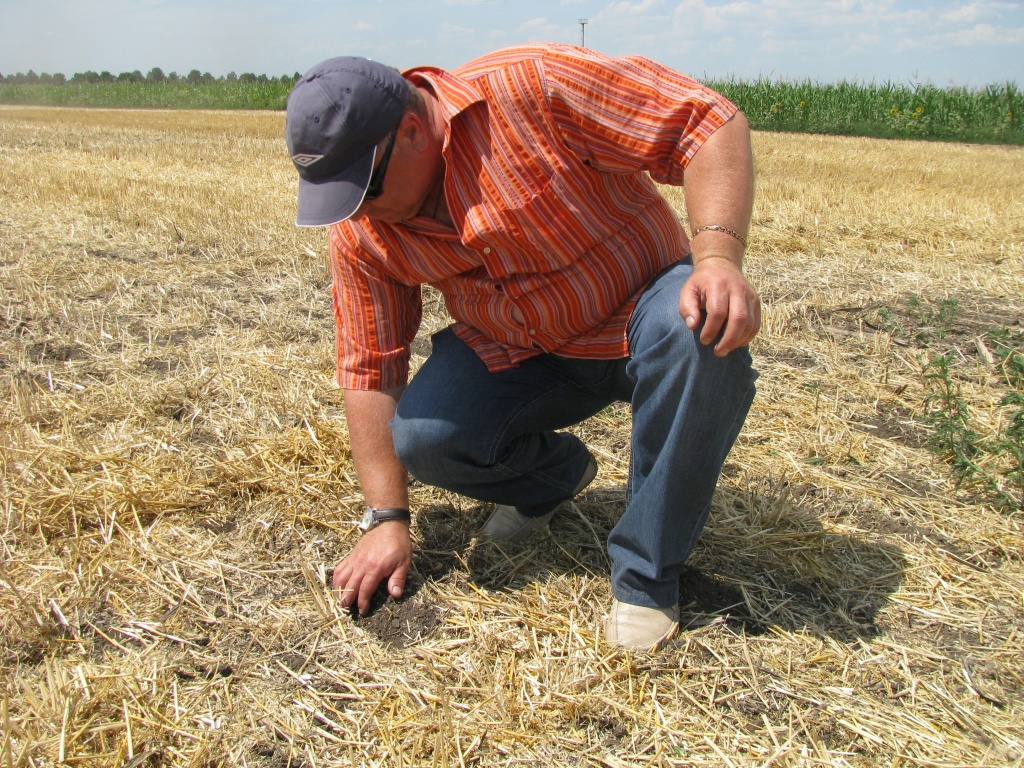 демопоказ хтз и турбосем